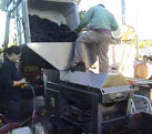 grape processing